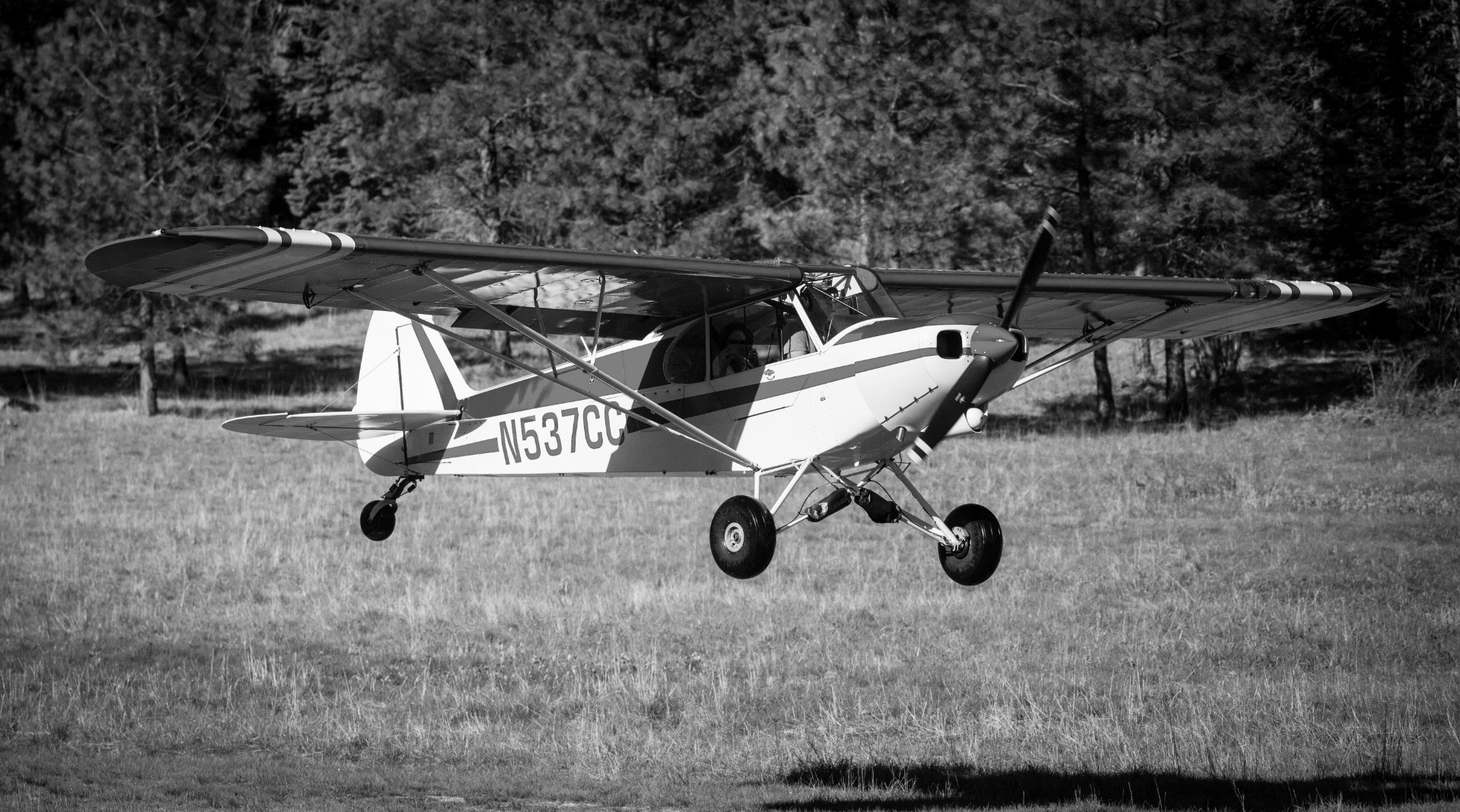 Super Cub landing in the back country